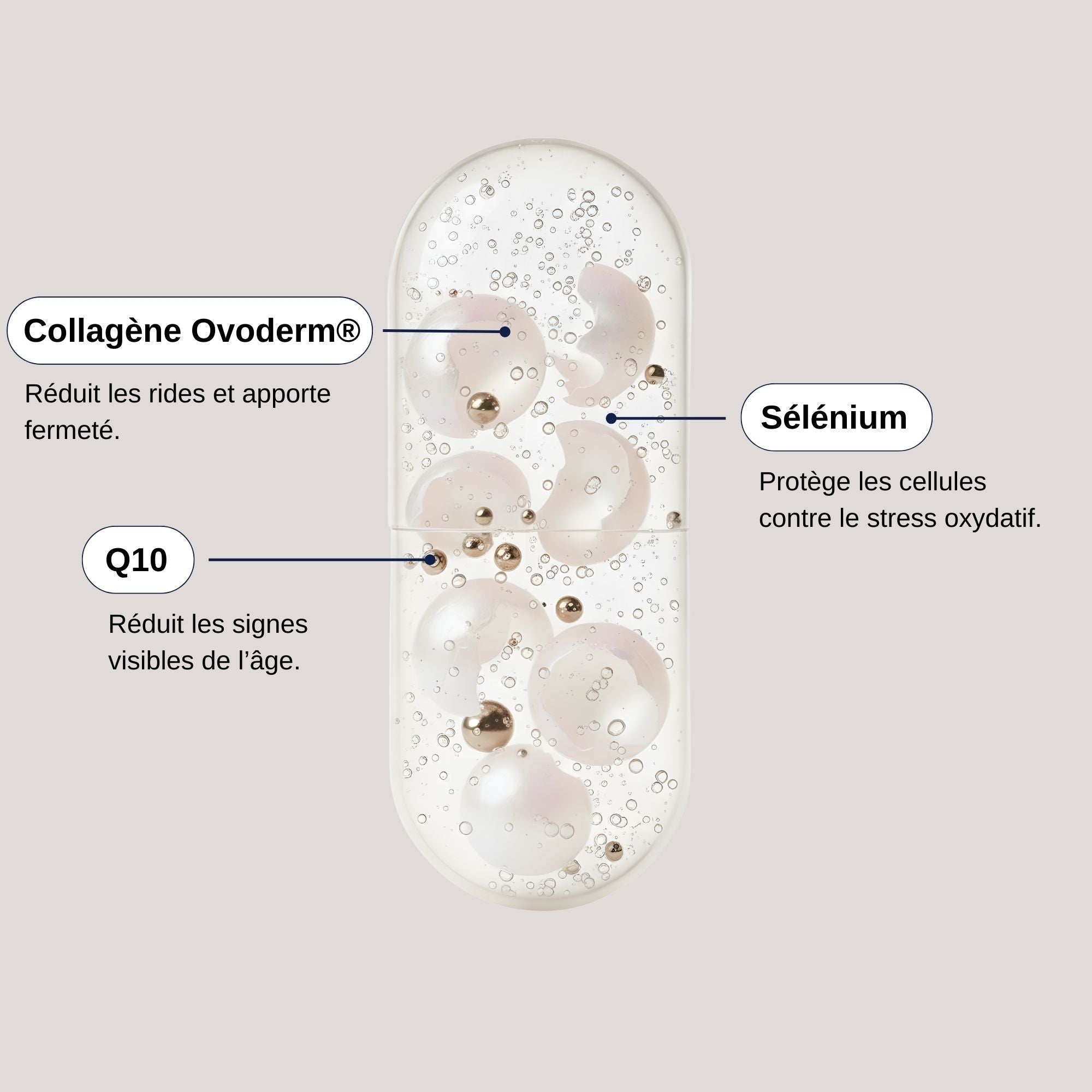 Ingrédients Collagène Ovoderm_Laborantin