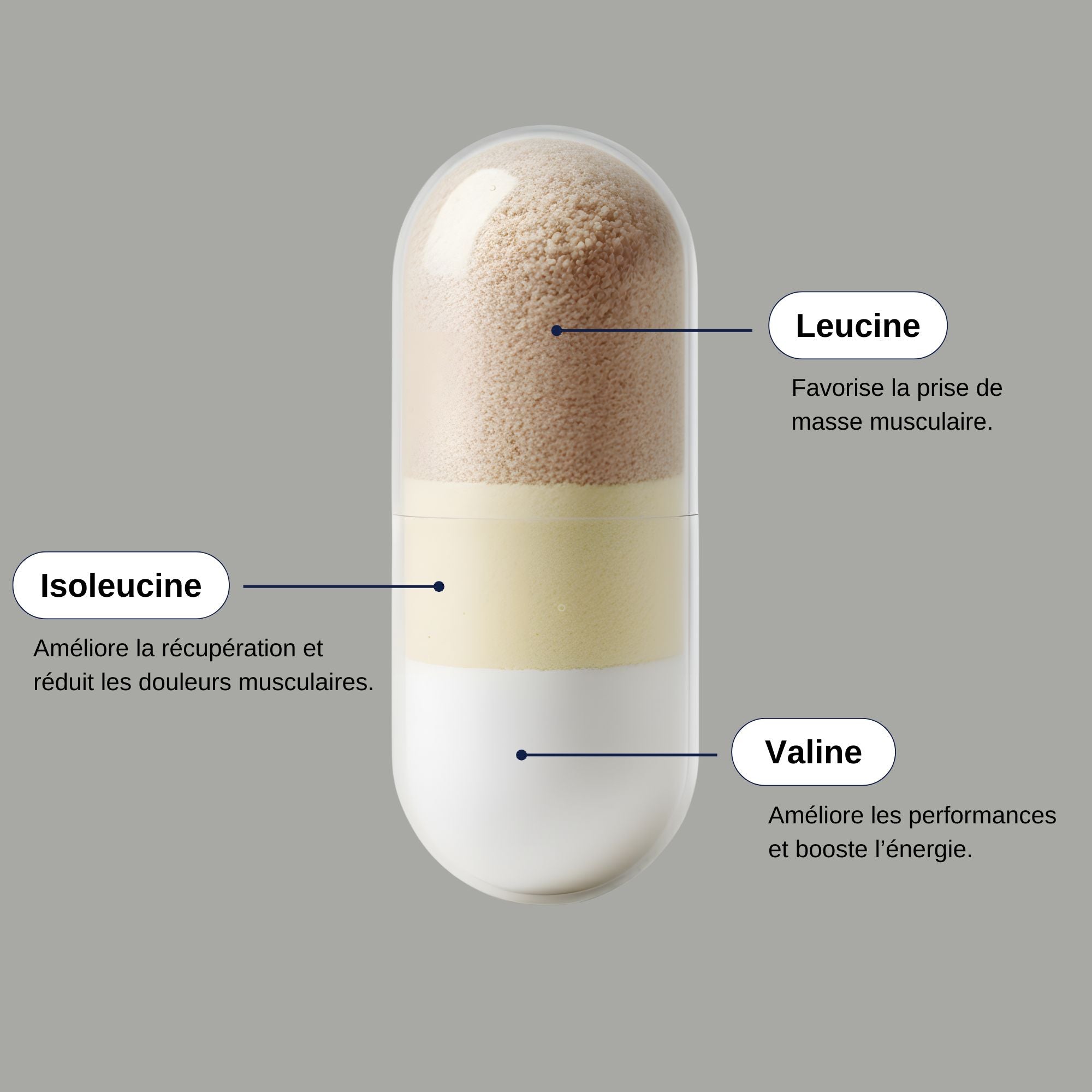 BCAA Leucine, Valine et Isoleucine_Laborantin