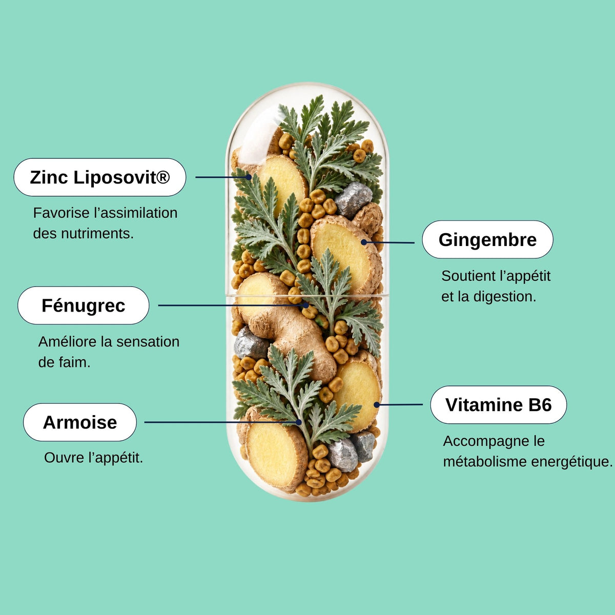 Composition Booster d'Appétit_Laborantin