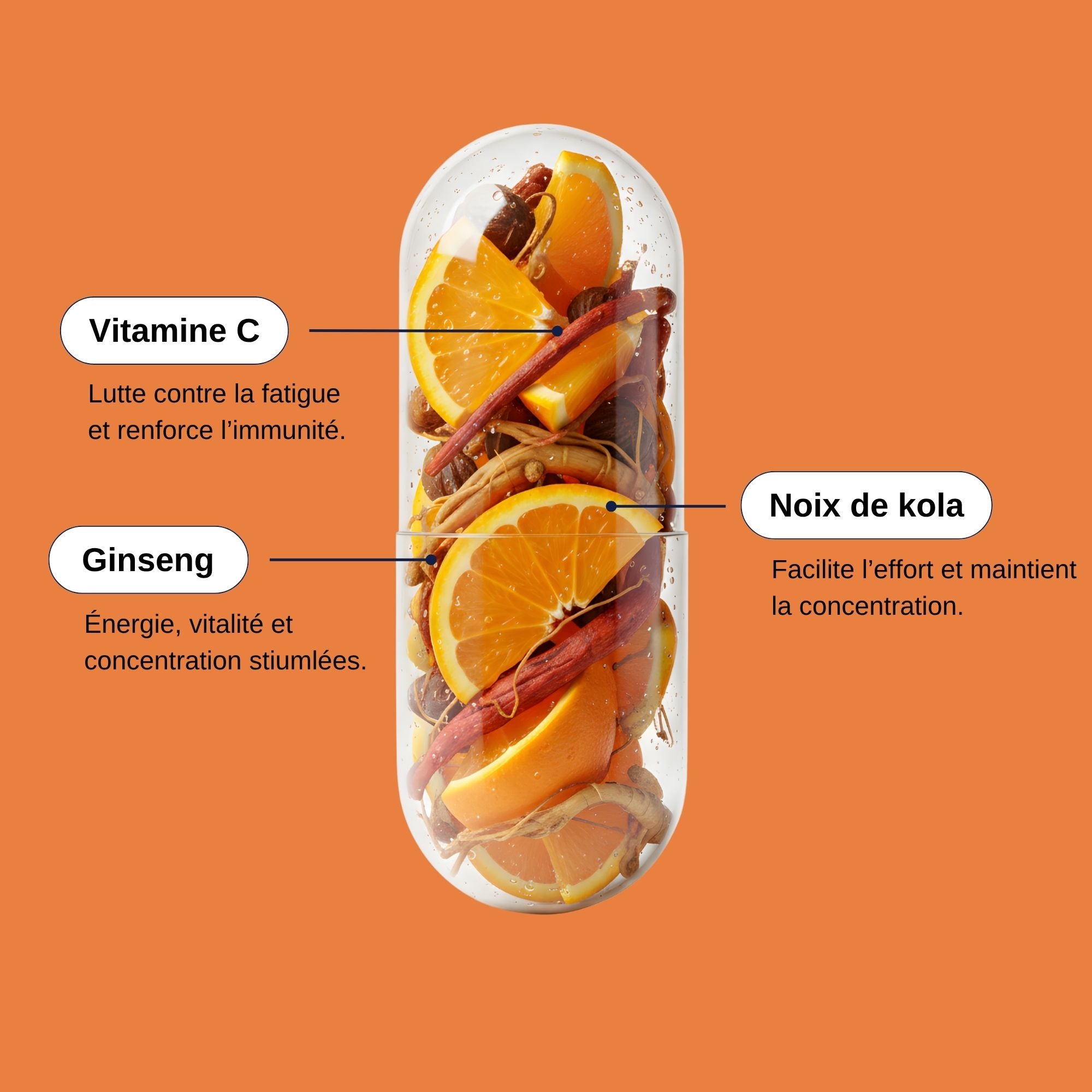 Ingrédients énergie_Laborantin