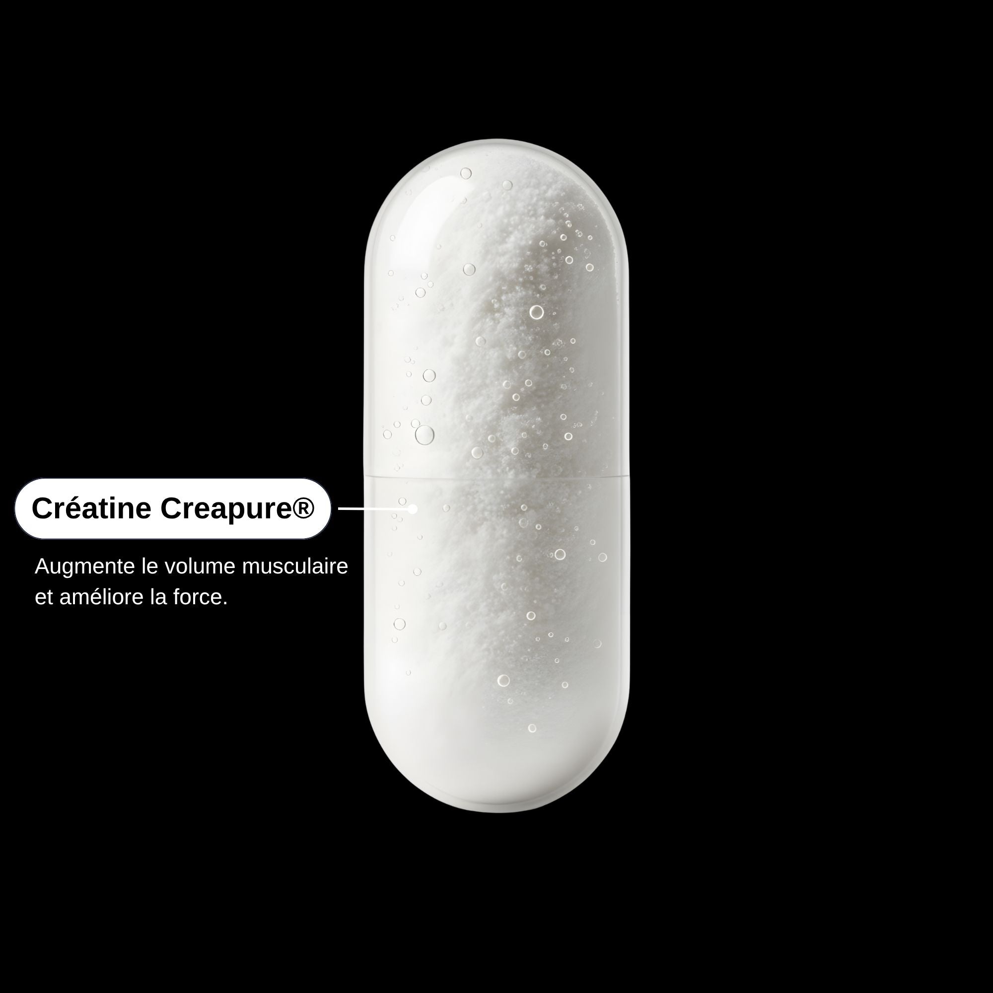 Créatine Puissance_Laborantin