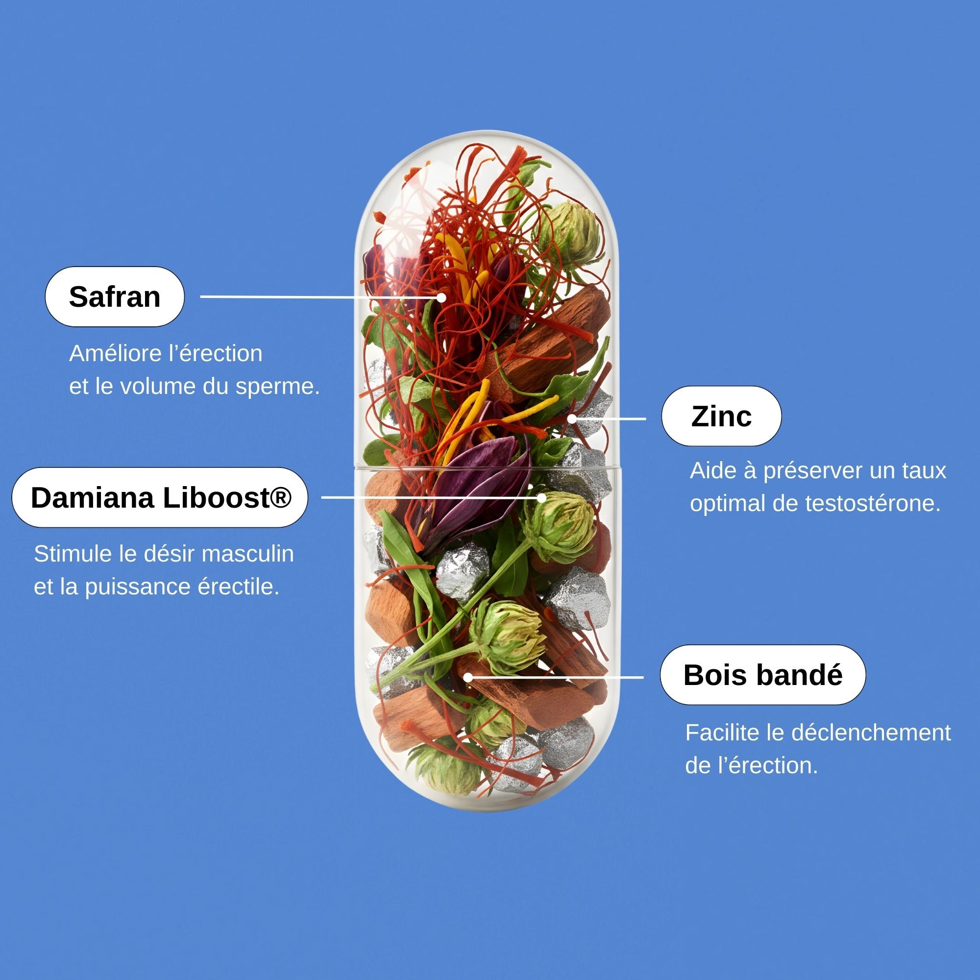 Liboost et Safran Erection_Laborantin