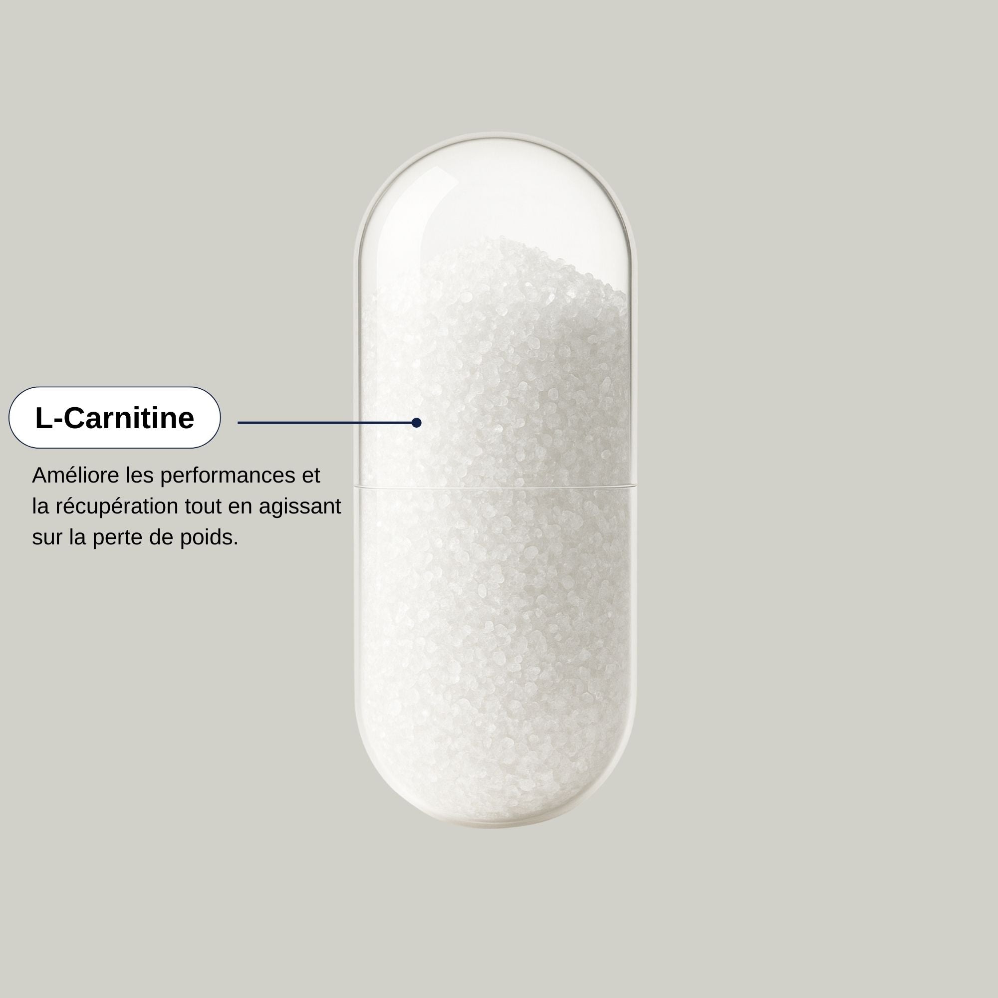 L Carnitine Carnipure Actif_Laborantin