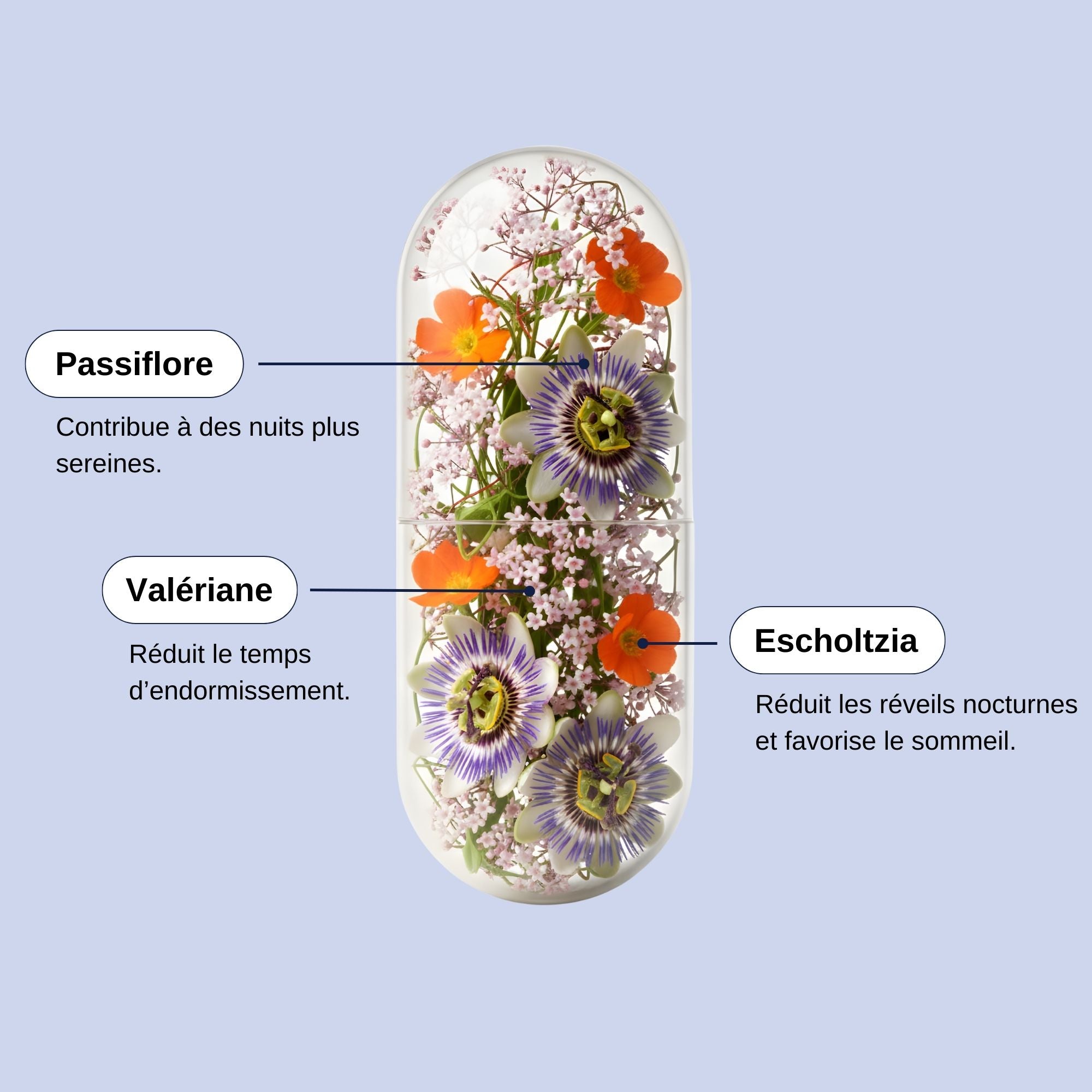 Nuit Paisible Ingrédients_Laborantin