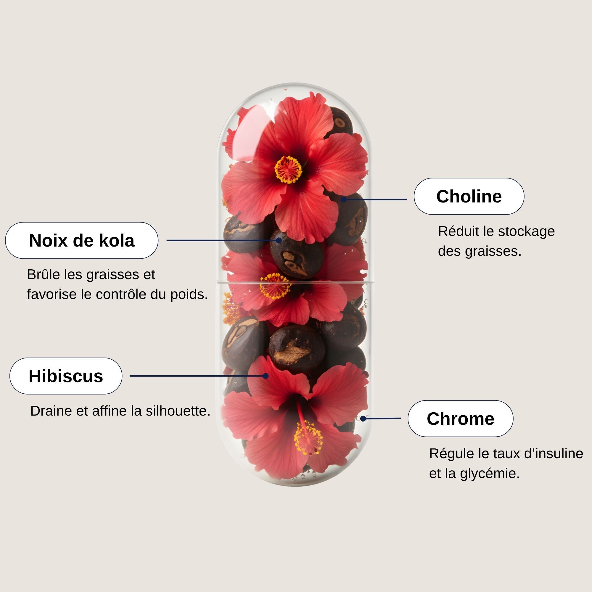 Ingrédients minceur Sim Silhouette_Laborantin