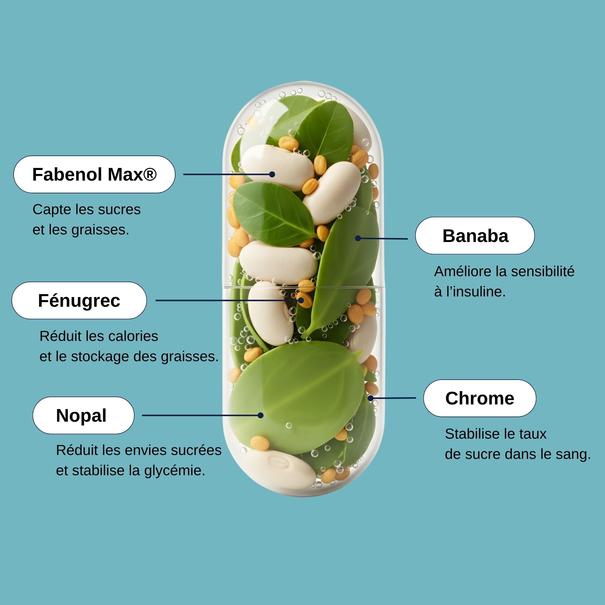 Ingrédients Capteur de sucres_Laborantin