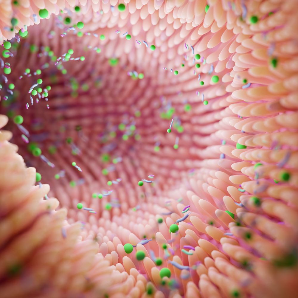 Pourquoi prendre des probiotiques ?