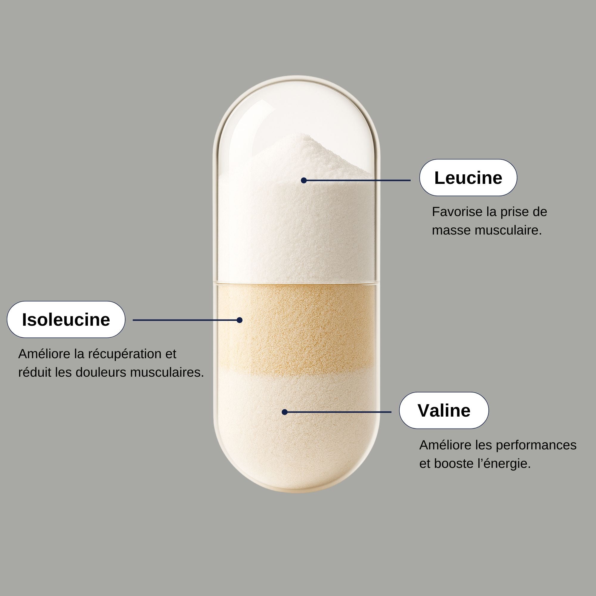BCAA Leucine, Valine et Isoleucine_Laborantin