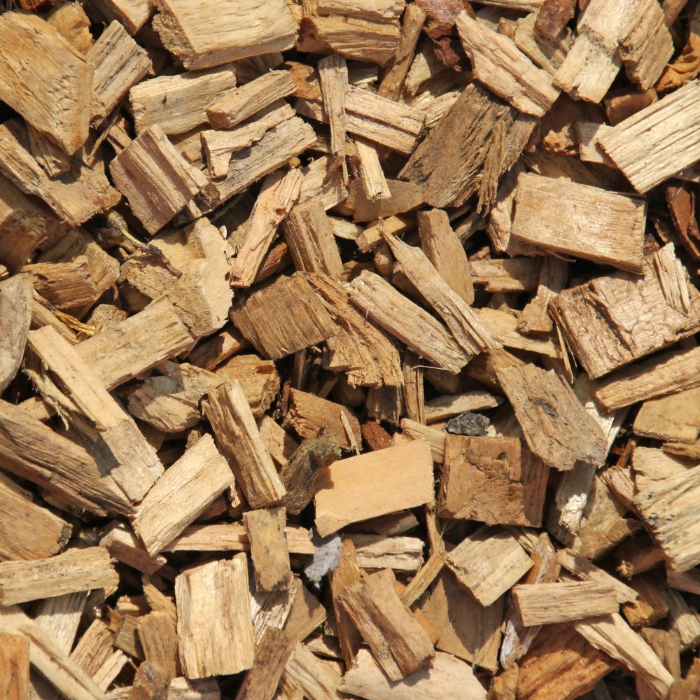 Bois bandé - tonique vasodilatateur naturel