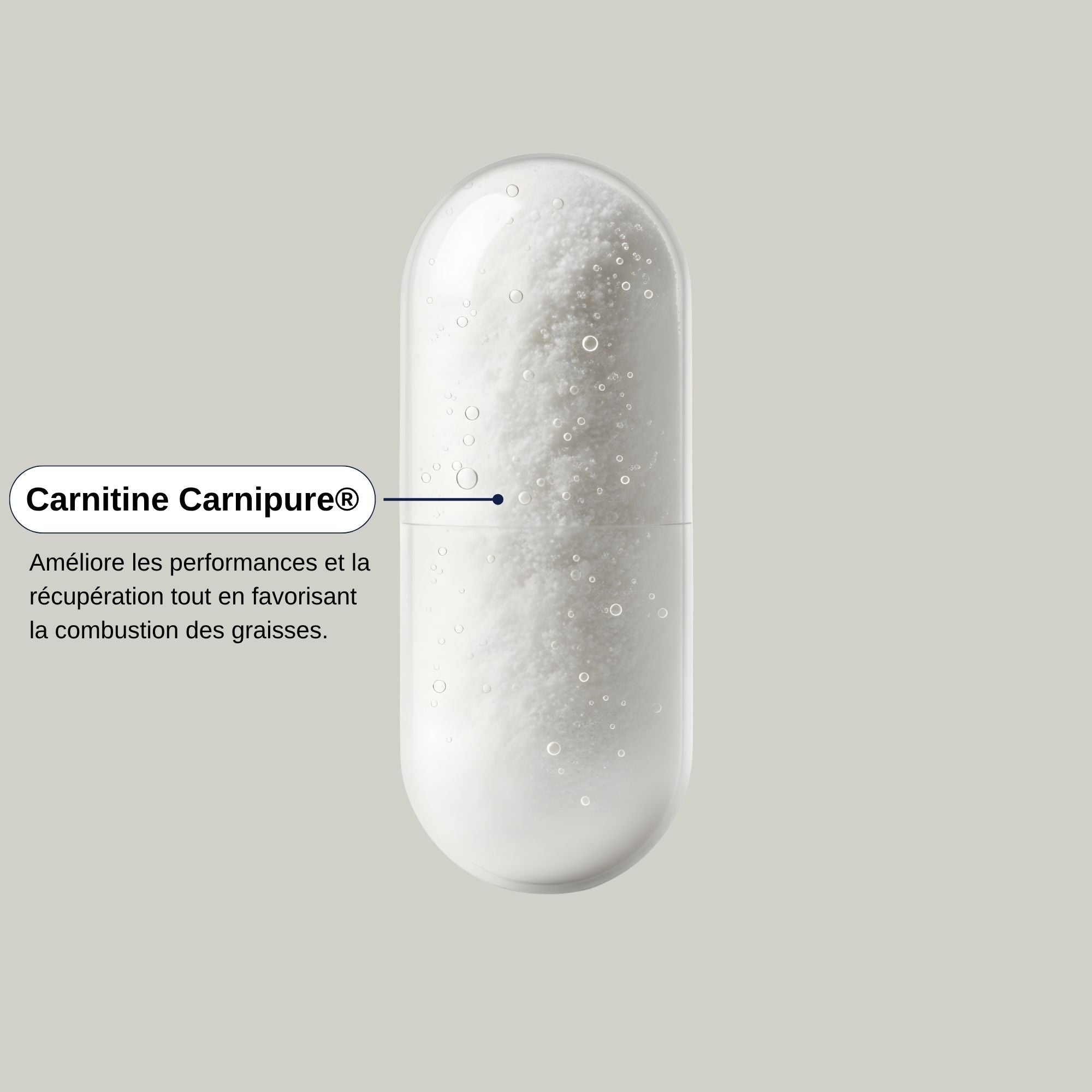 L Carnitine Carnipure Actif_Laborantin