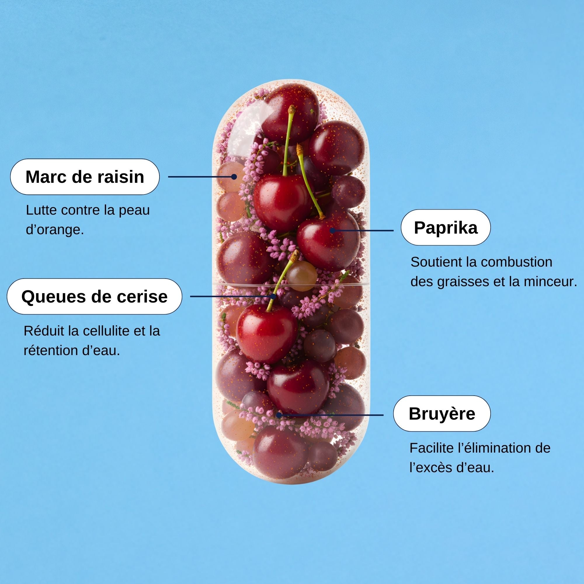 Marc de raisin Cellulite_Laborantin