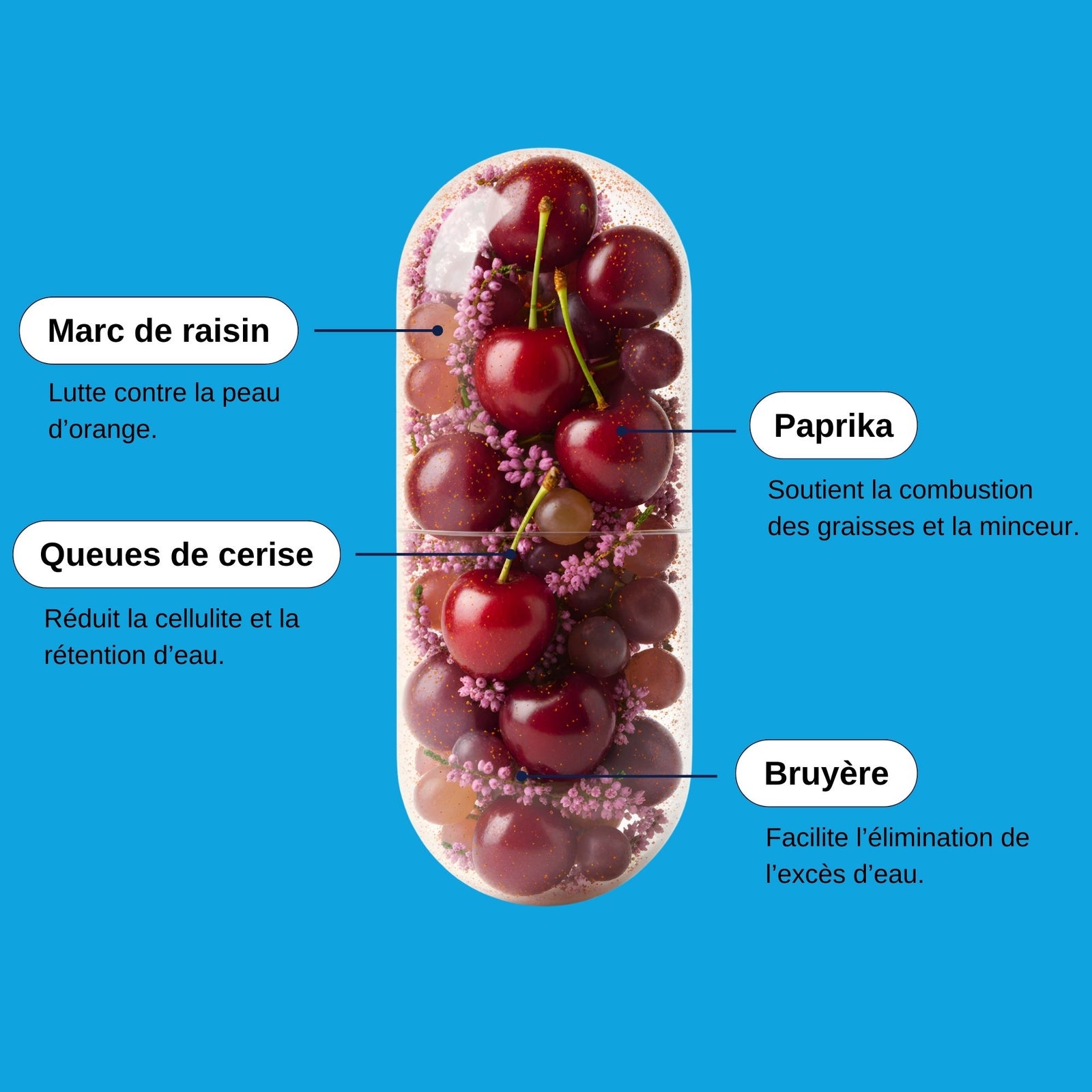 Composition Cellulite 3-en-1