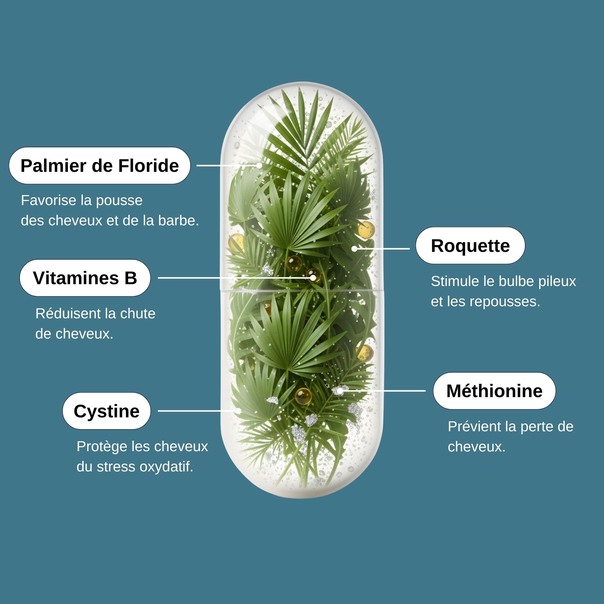 Ingrédients Chute Cheveux Homme_Laborantin