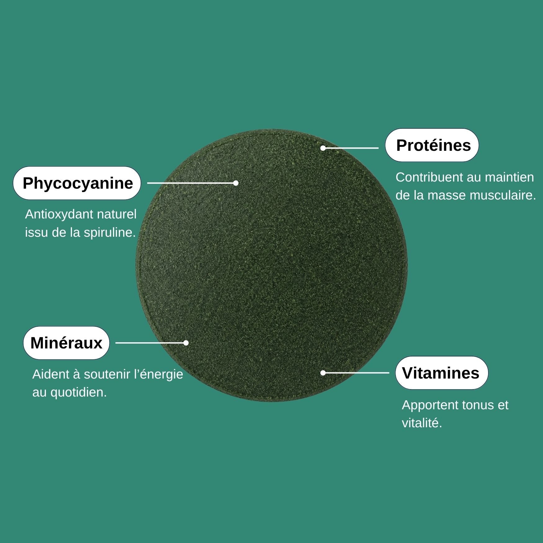 Comprimé Spiruline Bio_Laborantin