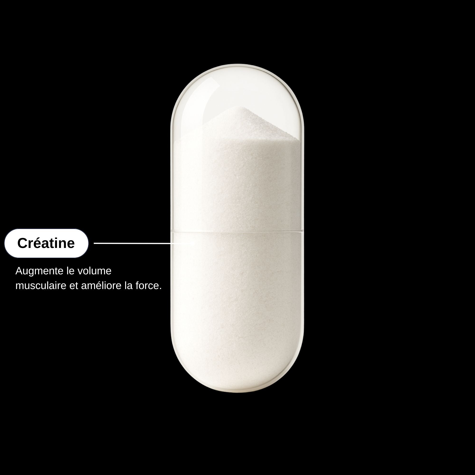 Créatine Puissance_Laborantin