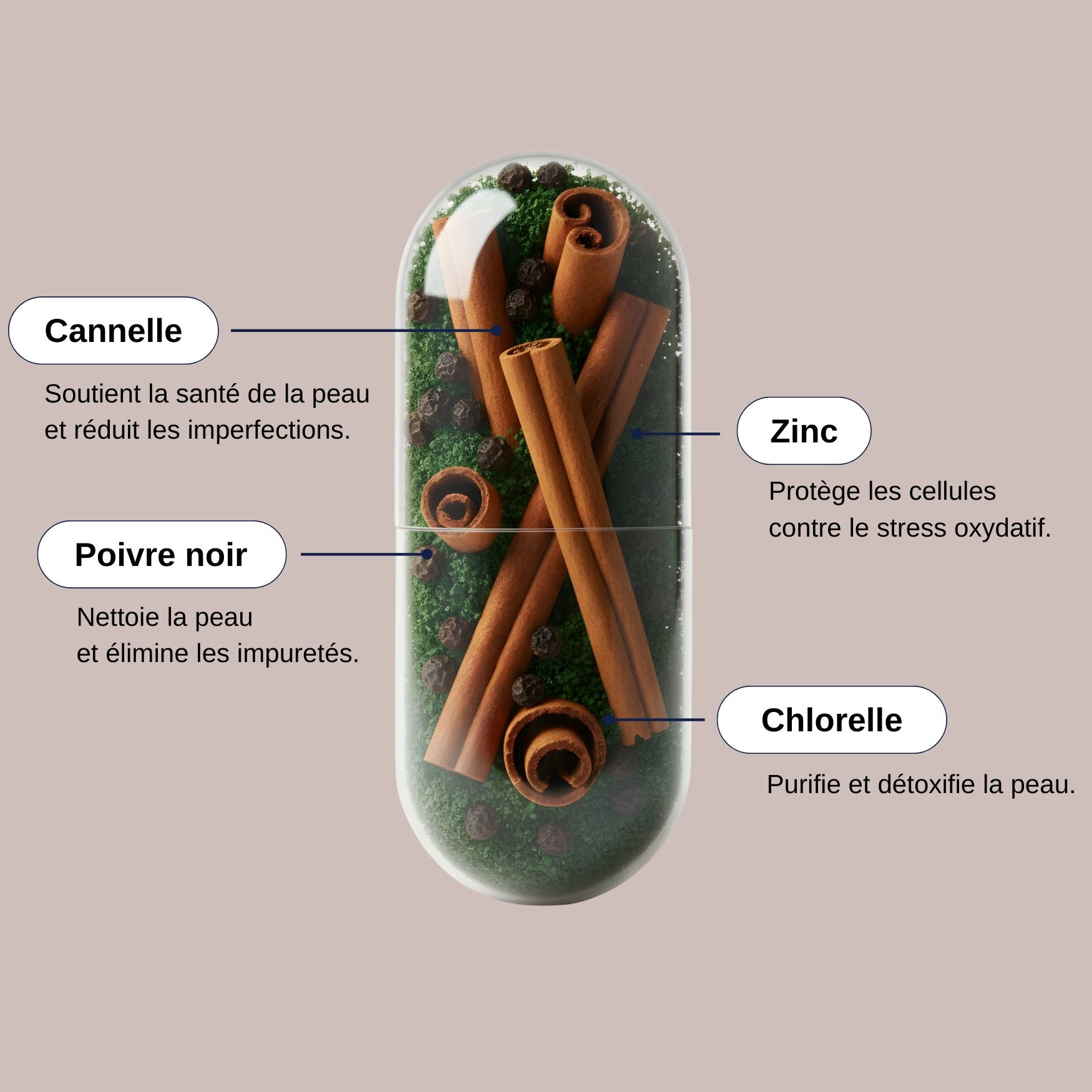 Zinc, Chlorelle et Cannelle_Détox Peau +