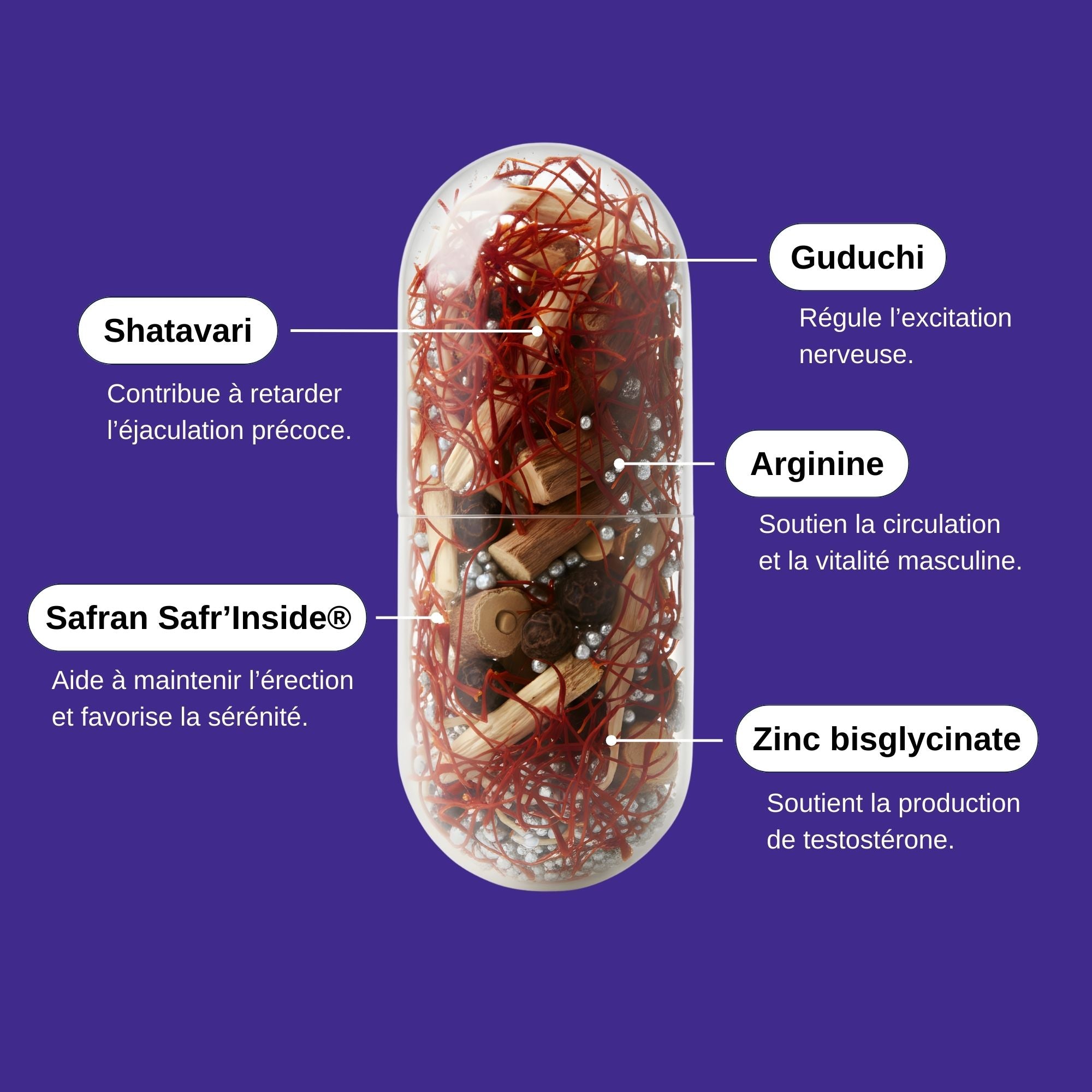 Actifs Naturels Retardateur Ejaculation_Laborantin