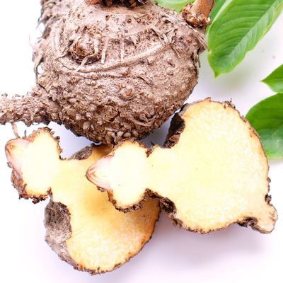Konjac