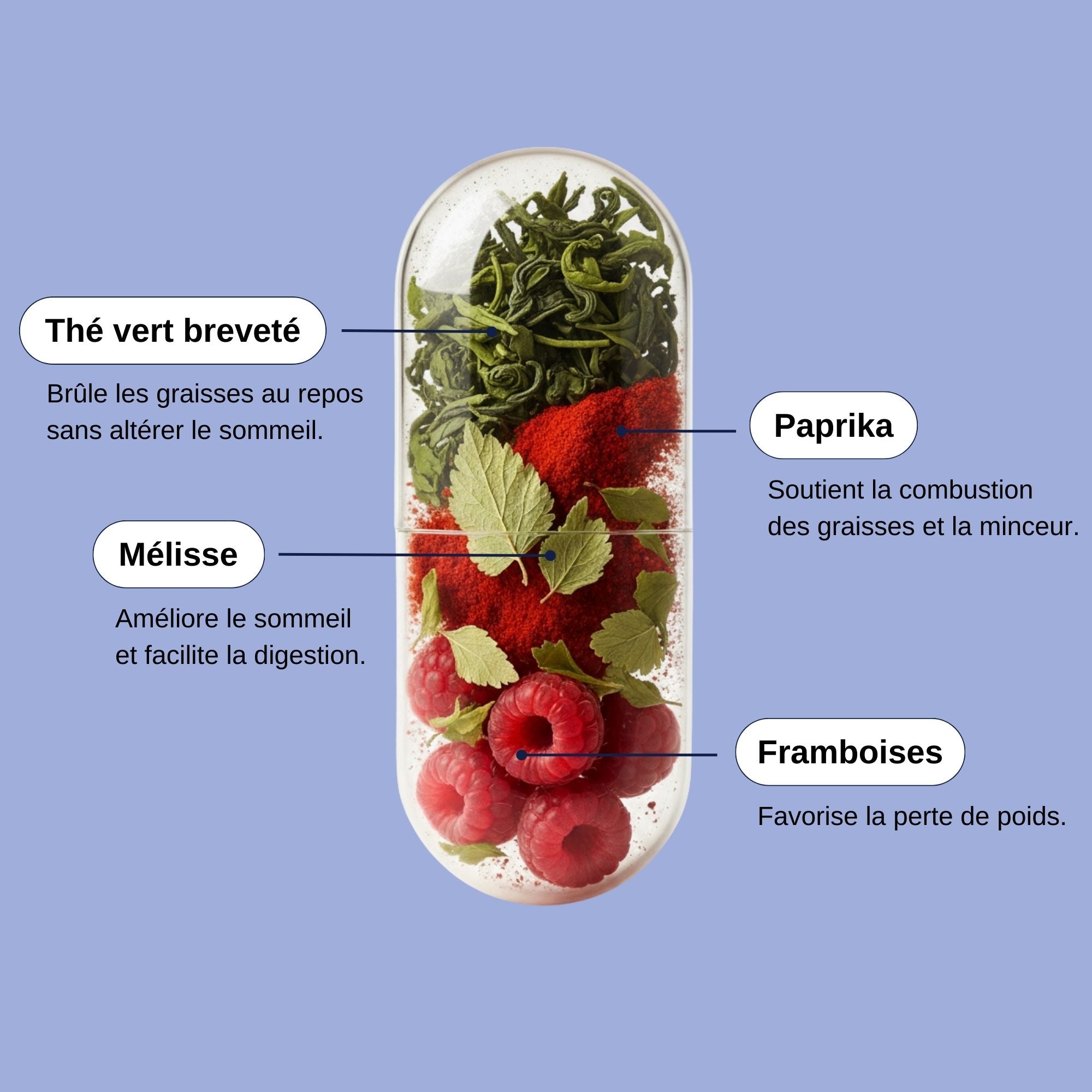 Thé vert décaifeiné_Paprika et Framboise Minceur Nuit Laborantin