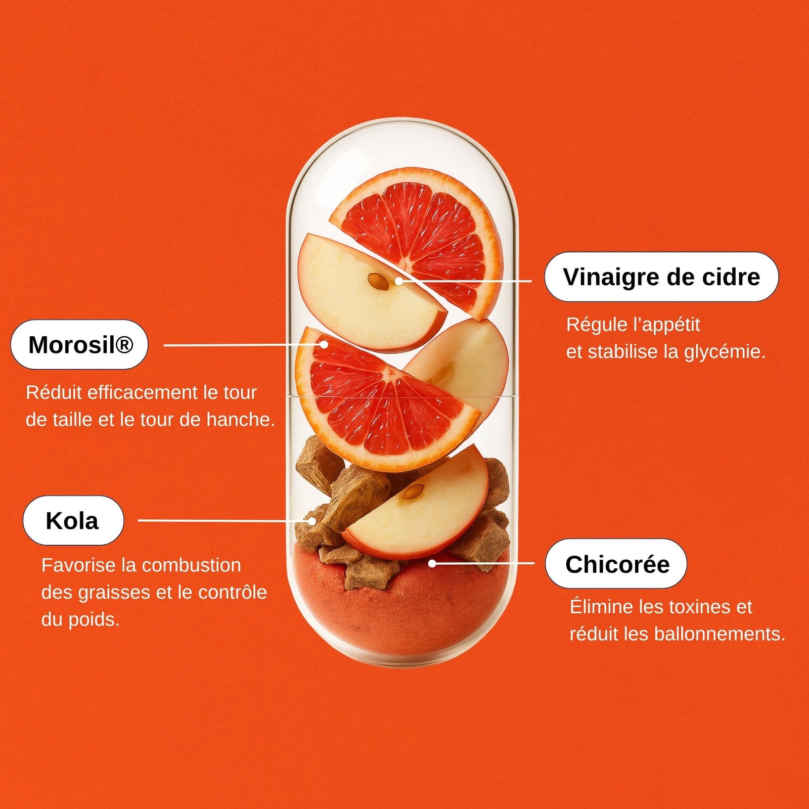 Morosil Minceur - composition orange sanguine vinaigre de cidre