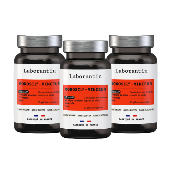 Morosil-Minceur - cure 3 mois recommandée
