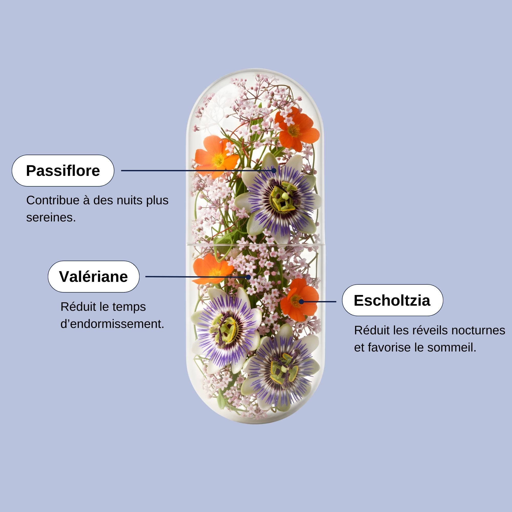 Nuit Paisible Ingrédients_Laborantin