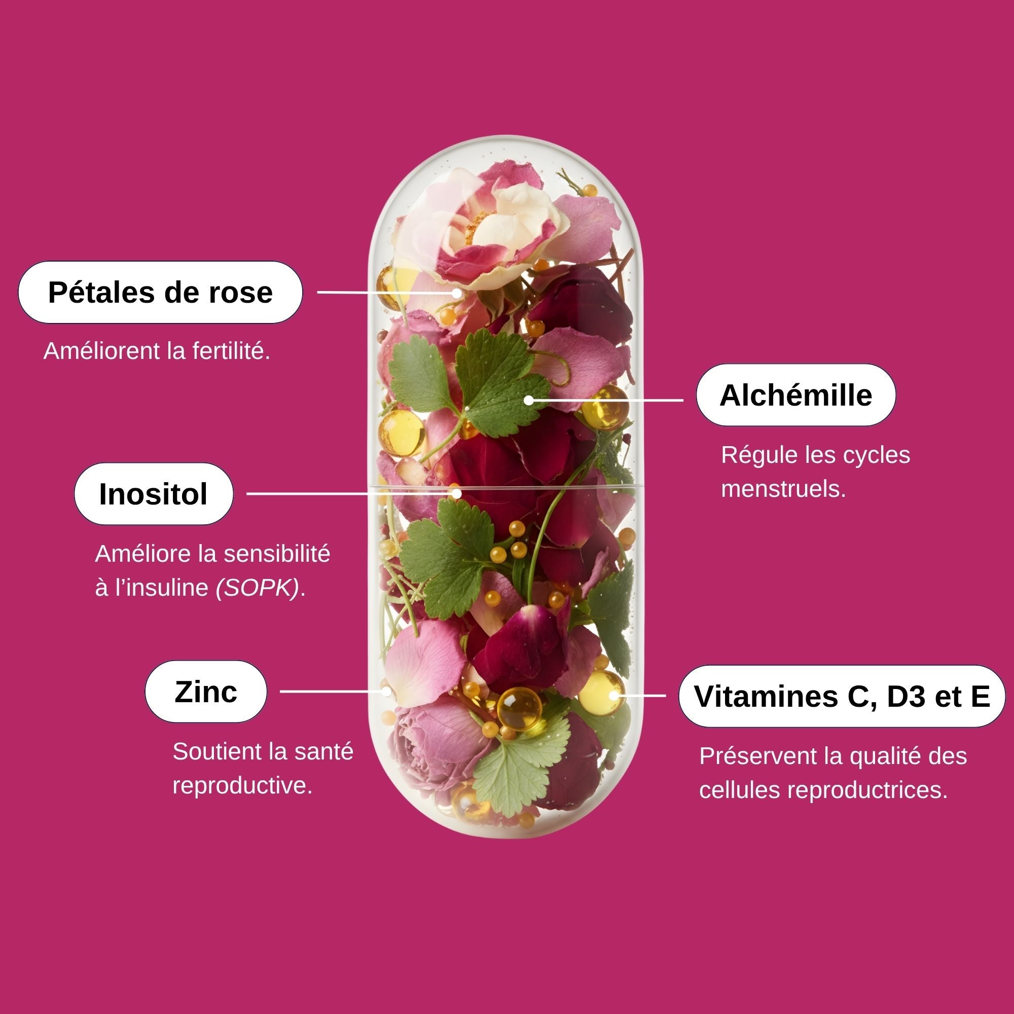 Ingrédients Nutri Fertilité Femme_Laborantin