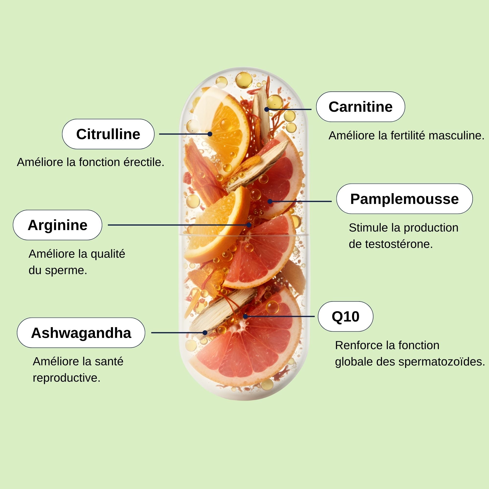 Ingrédients Reproduction et Fertilité Homme_Laborantin 