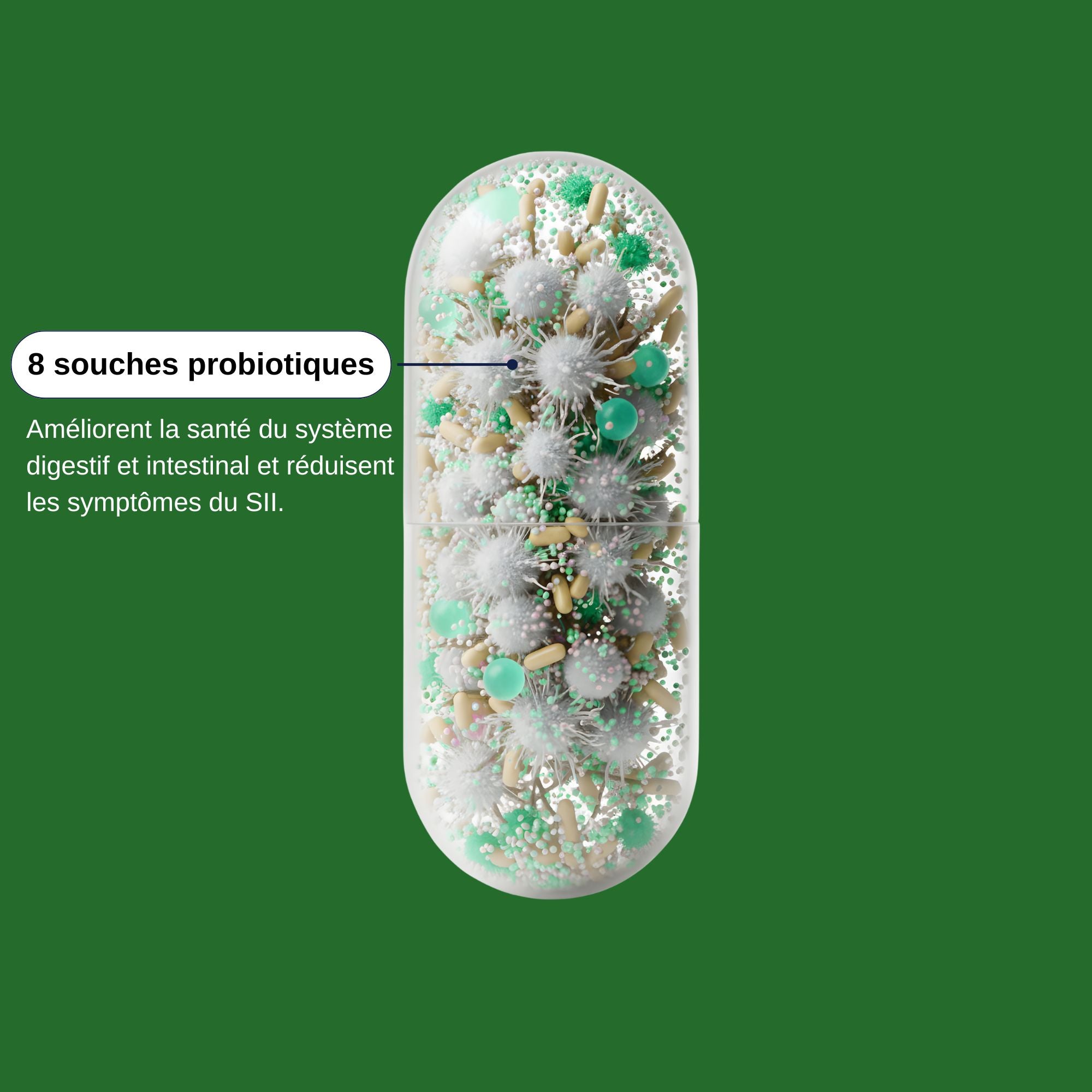 8 Probiotiques SII_Laborantin