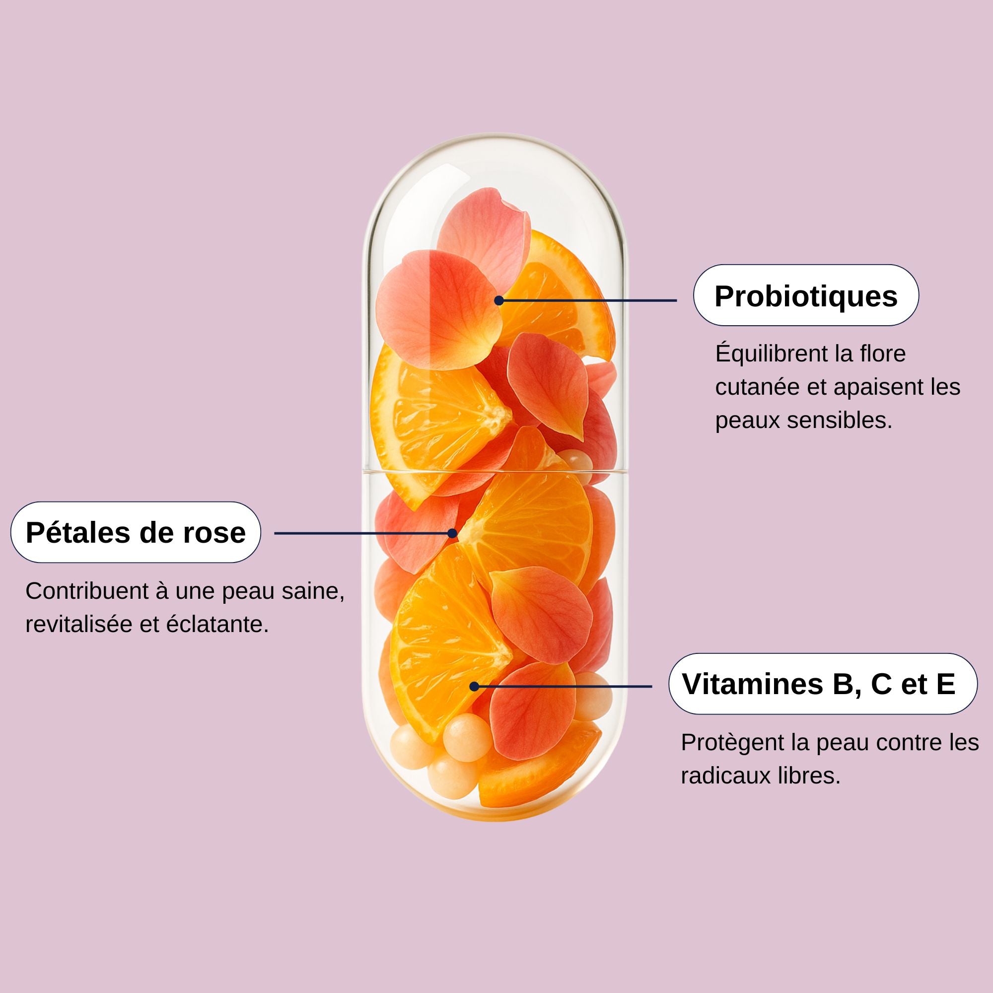 Ingrédients Probio Belle Peau_Laborantin