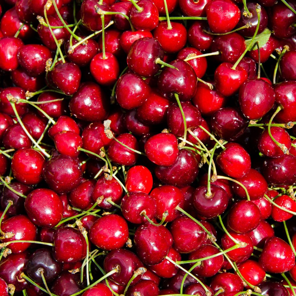 Queues de cerise - drainage et élimination de l'eau