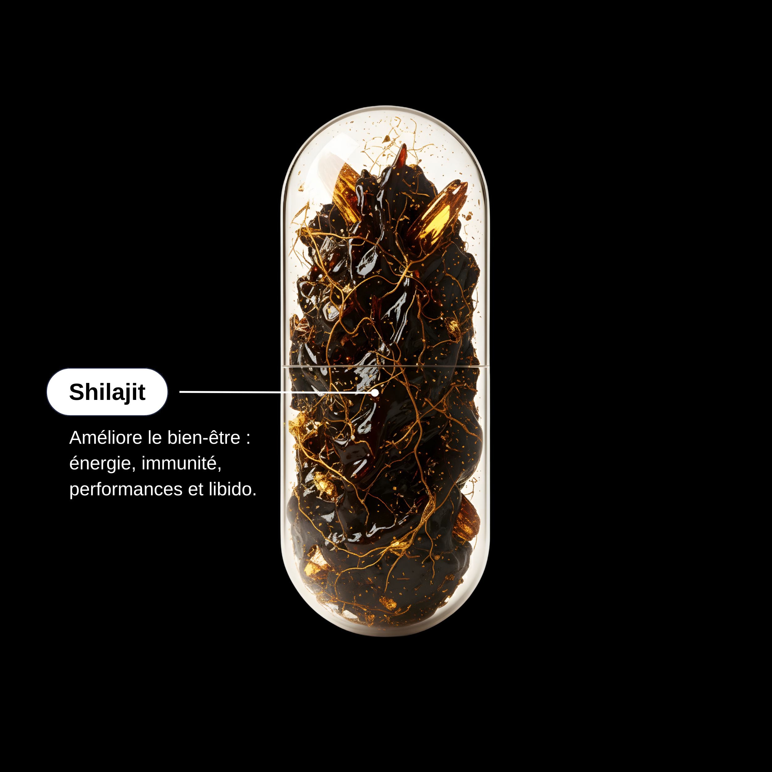 Actif breveté Shilajit_Laborantin
