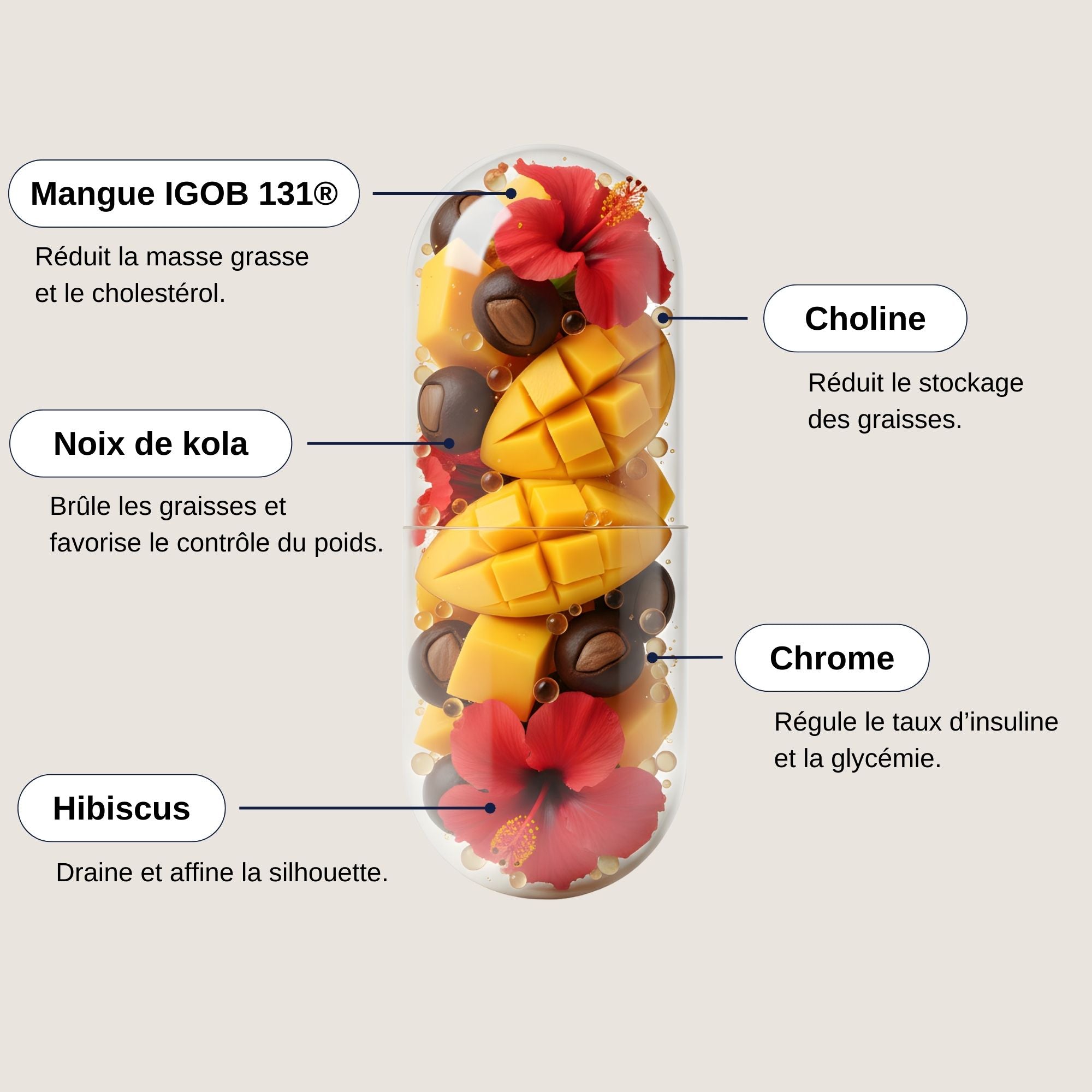 Ingrédients minceur Slim Silhouette_Laborantin