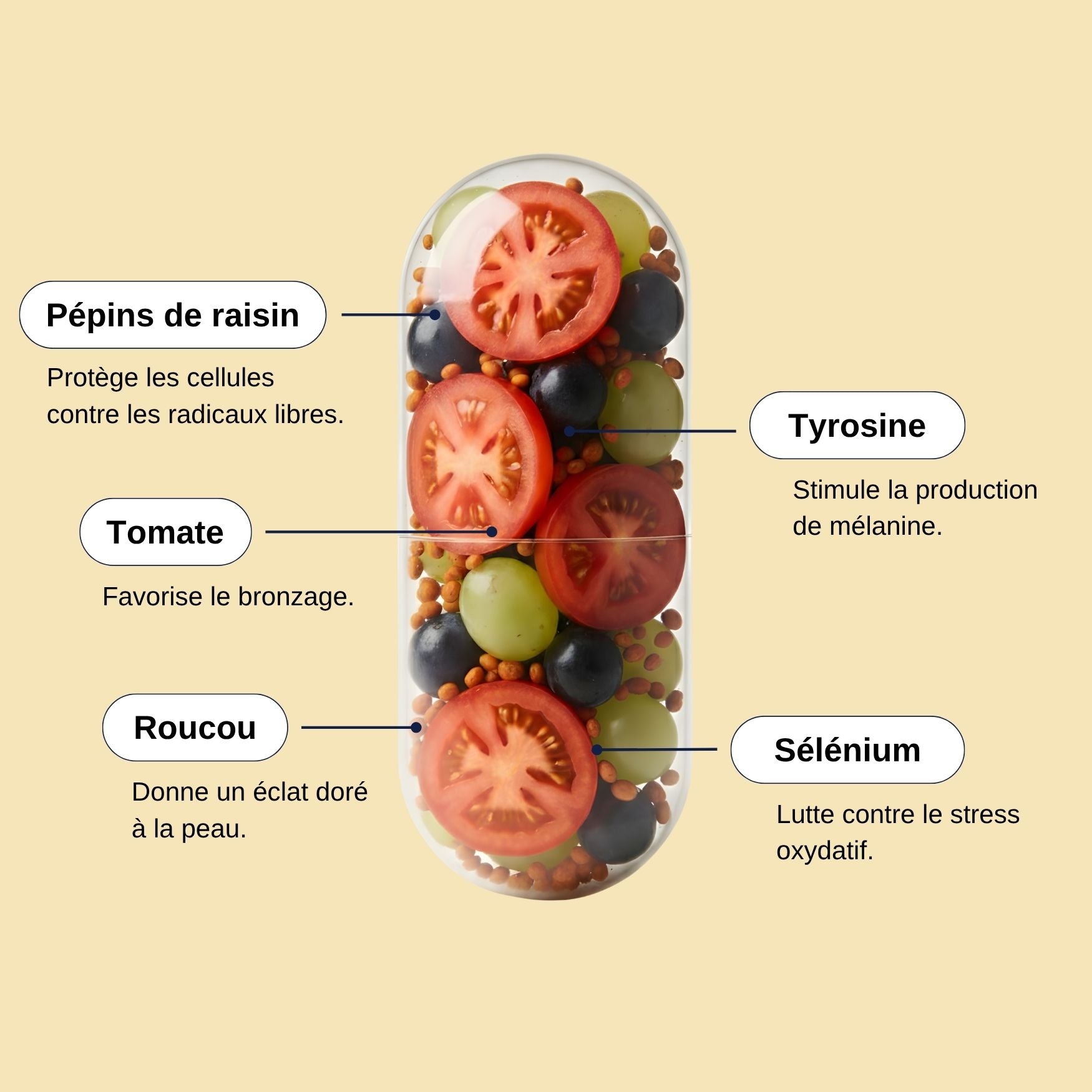 Tomate-Roucou-tyrosine_Solaire_Laborantin