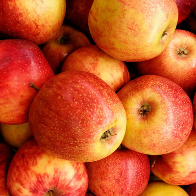 Vinaigre de cidre